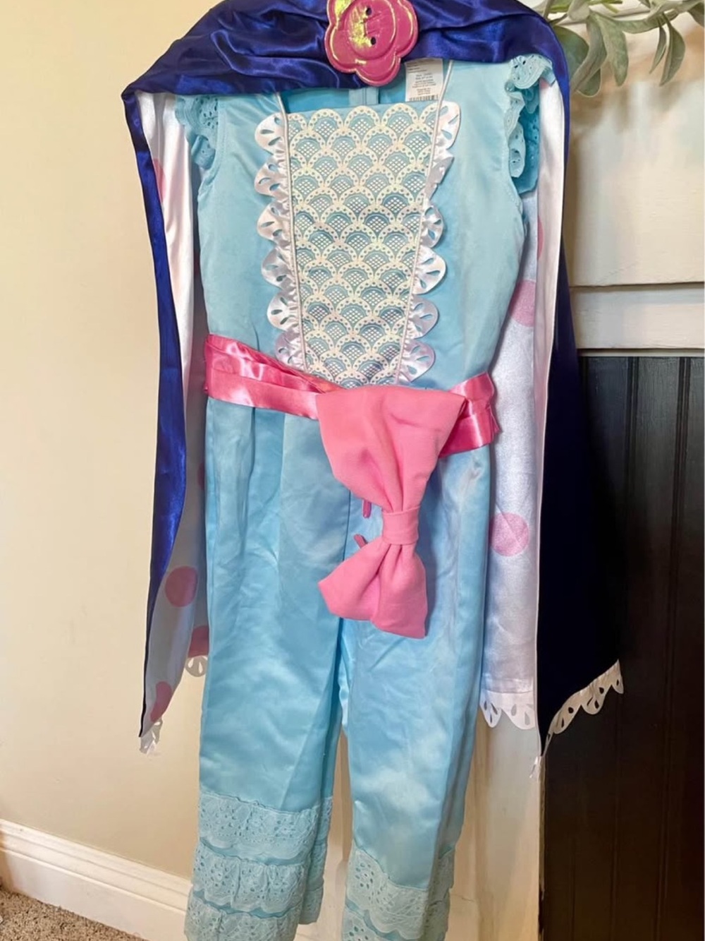 Disney Light Blue and Pink Princess Cape Costume